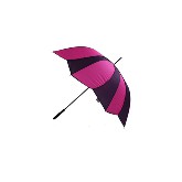 Pink-lila szirom esernyő